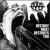 Against All Authority - Destroy What Destroys You
